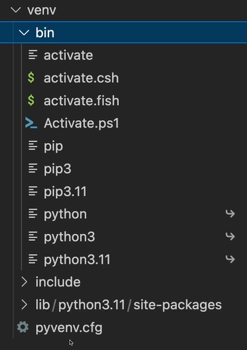 Structure of the environment created with venv module